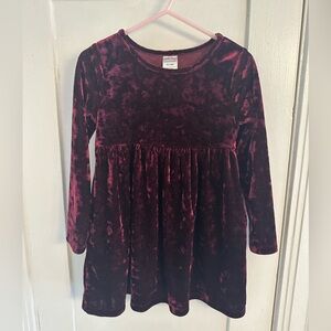 Velvet Velour Long Sleeve Dress in Burgundy